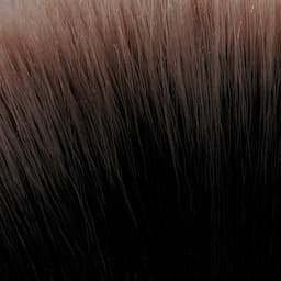 Ritual Brow + Lash Club